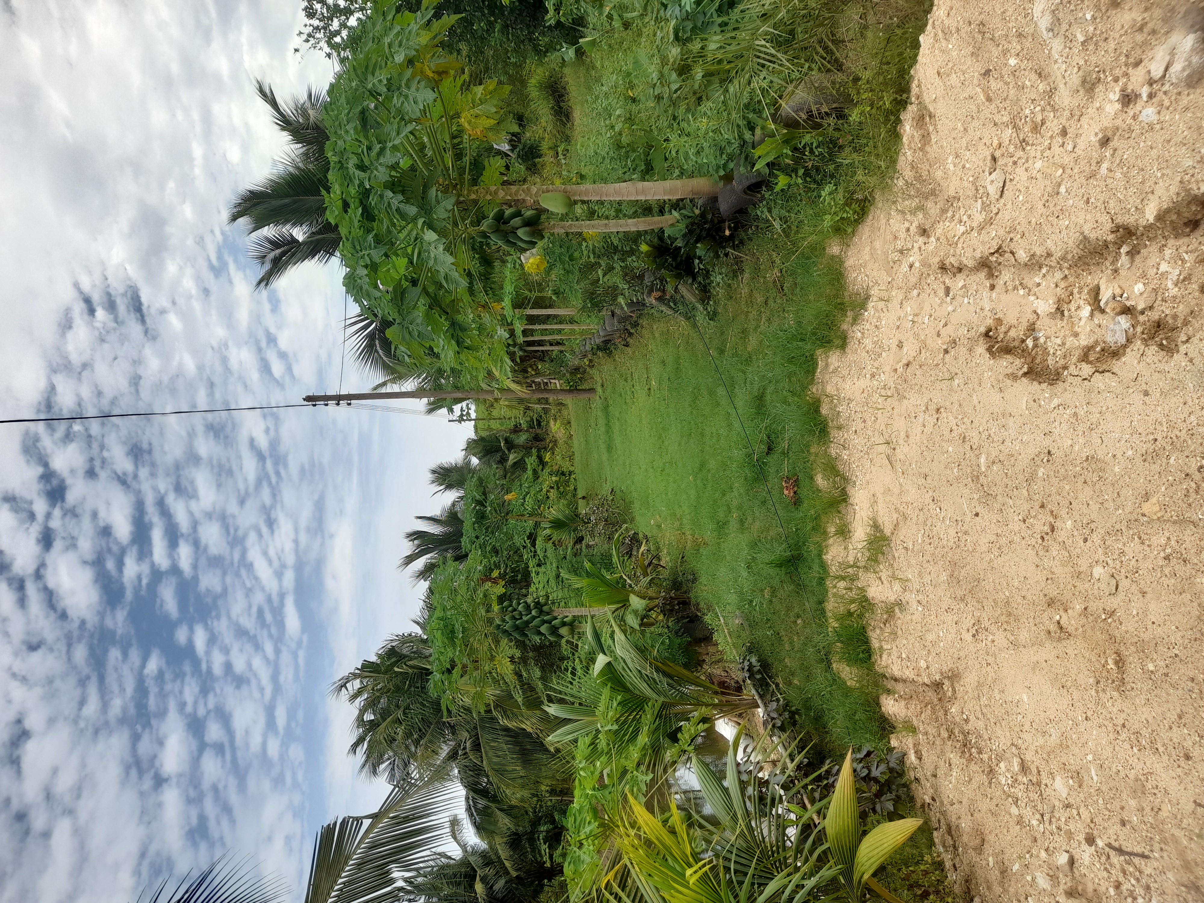 Venue view